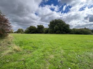 Photo 8- click for photo gallery